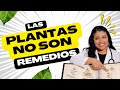Las plantas no son remedios