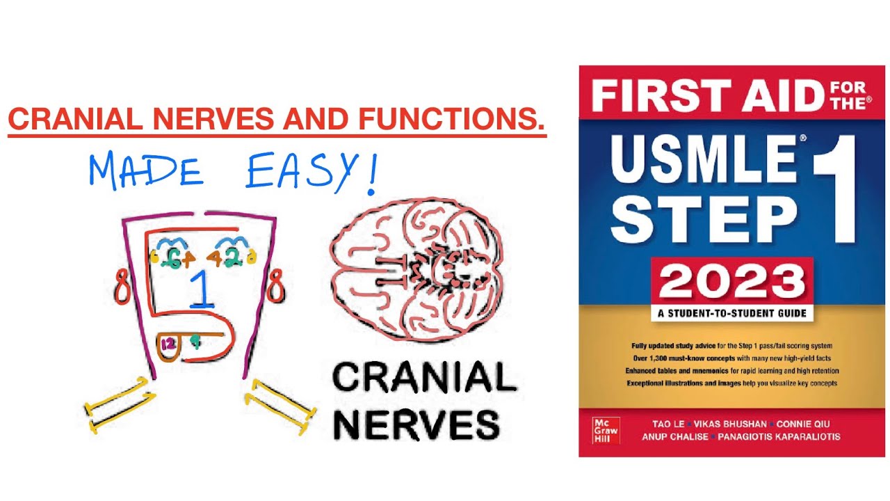 Cranial nerves and functions |First aid| USMLE step 1| - YouTube