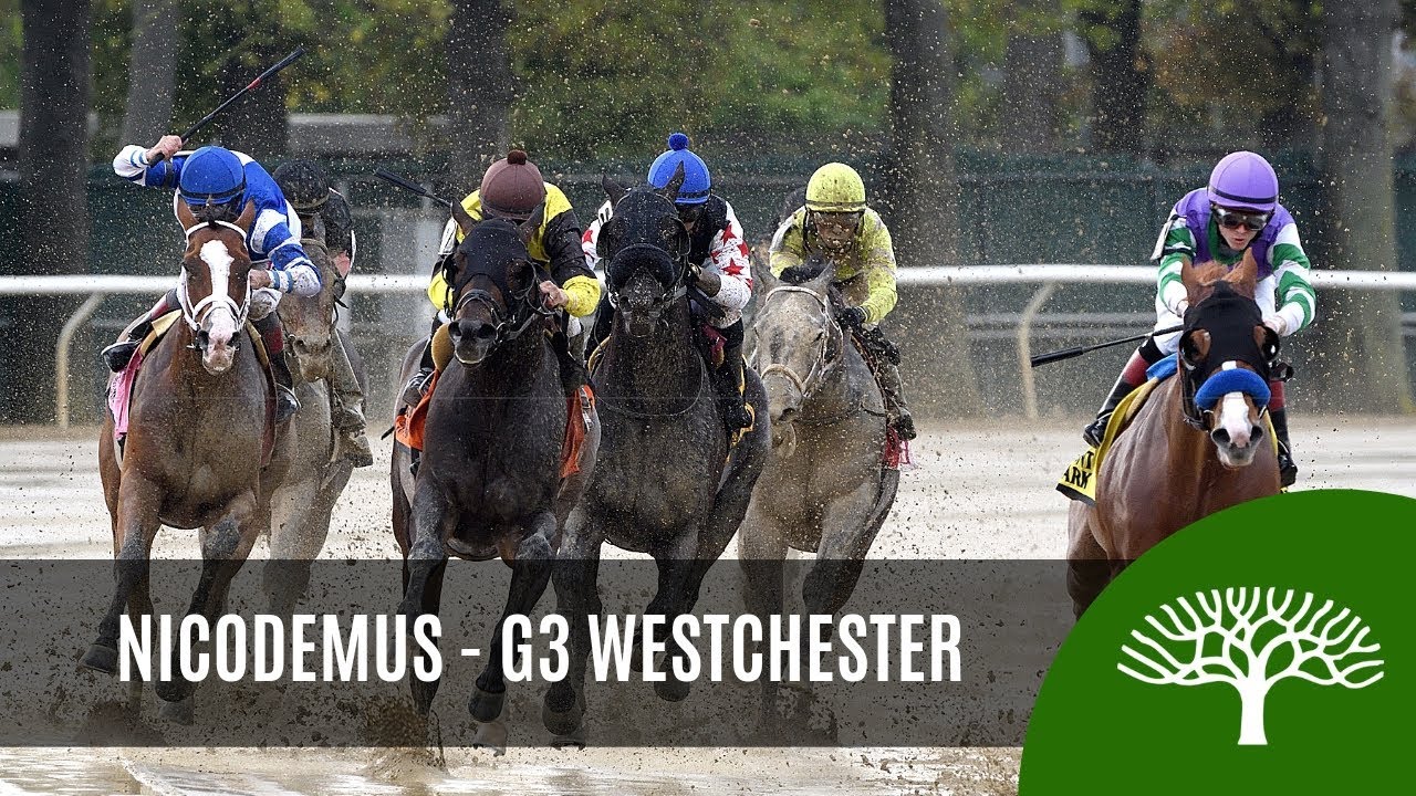 horseshoe bend Nicodemus - 2019 - The Westchester Stakes