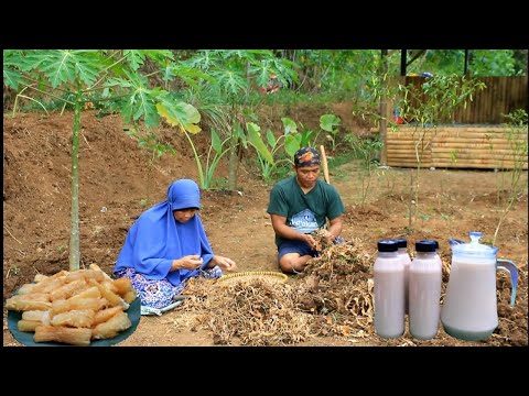 Minuman Beras Kencur Untuk Apa