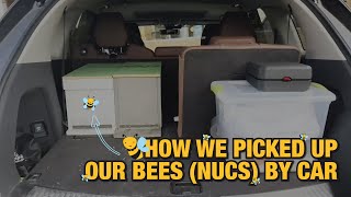 We Picked Up Our Bees Nucs by Car by Kummer Homestead 639 views 3 years ago 3 minutes, 49 seconds