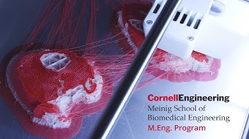 Cornell BME Master of Engineering (M.Eng.) Program