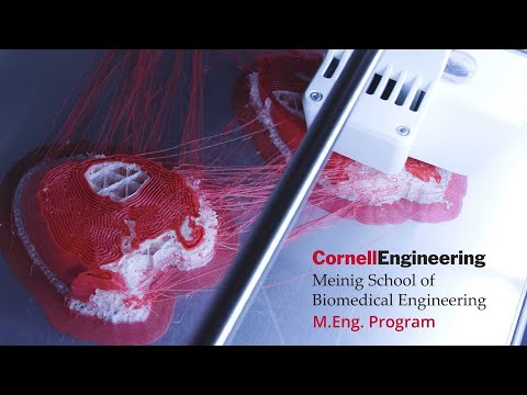 Cornell BME Master of Engineering (M.Eng.) Program