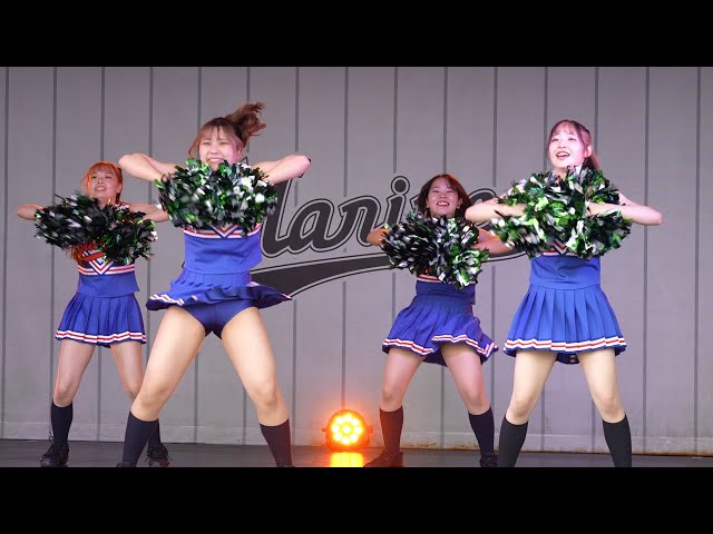 ケアベア セレブレーション コレクション アロハ フラダンス チア レイ BLACK SUMMER WEEK 2024 COSTUME #HIKARU 7/12(金)からはBLACK