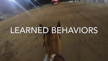 Inherited vs Learned Behaviors