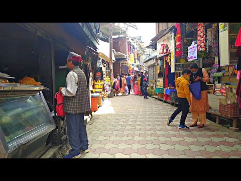 Theog Market | Shimla HP | Vlog | T&T Relish