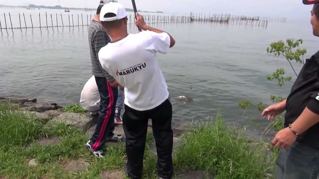 琵琶湖の鯉釣り大会12 Youtube