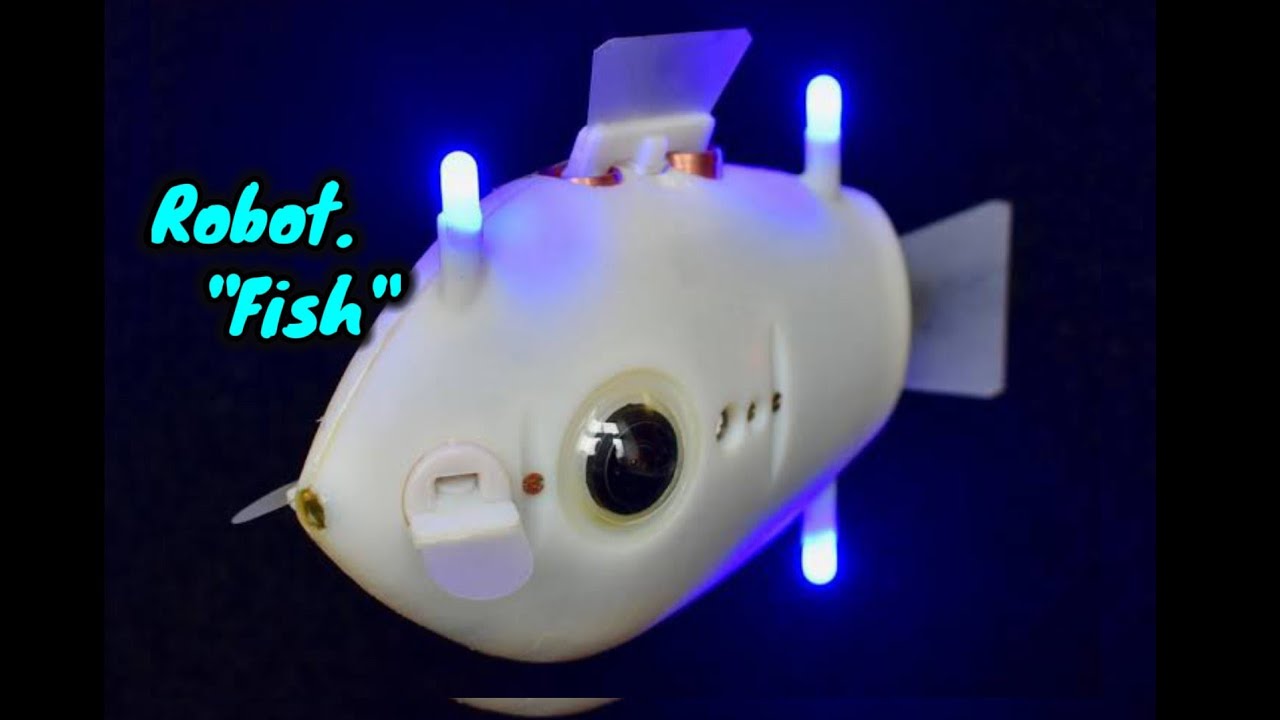 🤯Robot Fish? 