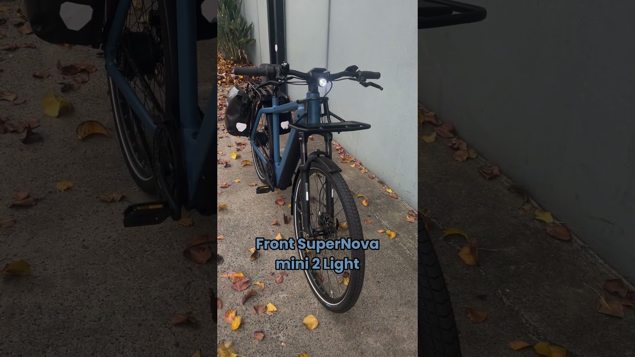 Riese & Muller Charger4 Vario︱Dutch Cargo Bike  