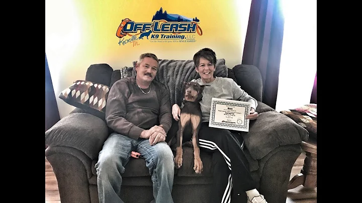 6  mo Doberman transforms into a more confident, reliable young lady!