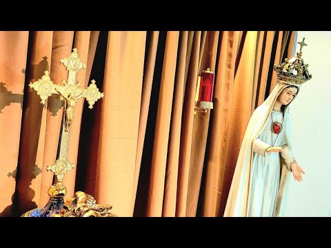 8 de Enero. Hora de la Misericordia EN VIVO