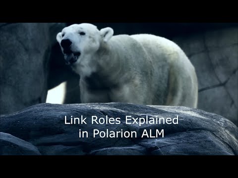Polarion ALM Tutorial - Link Roles Configuration Explained #19