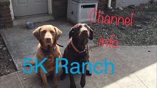 What we do on 5K Ranch| Meet our animals.