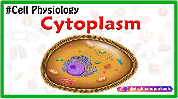 Cytoplasm : Cell Physiology Animations