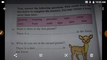 SCERT Assam Class 5 English lesson 5| Let