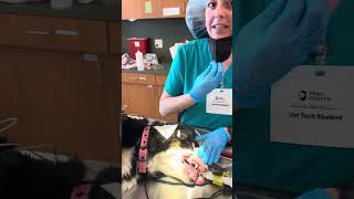 Penn Foster Externship 2 Skill 24 BMBT Test