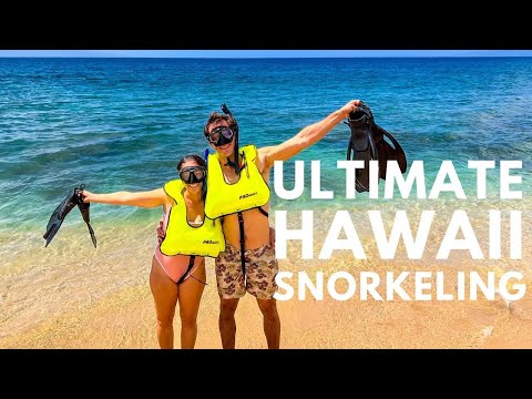 Vídeo: Os 5 melhores passeios de mergulho com snorkel em Maui de 2022