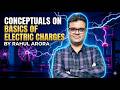 4  Conceptuals on Properties of Charge