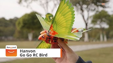 HANVON Go Go Bird 280mm Wingspan Remote Control Flapping Bird RC Airplane  -  Banggood RC Store