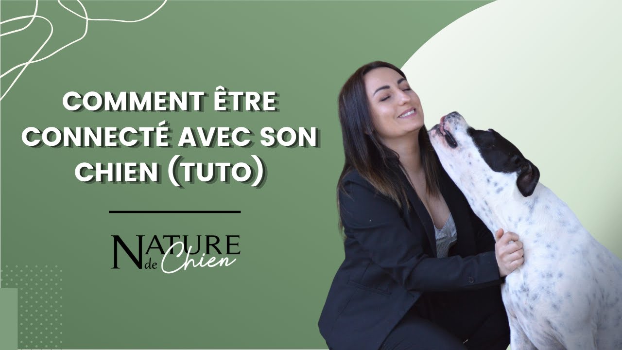 Comment Être Connecté Avec Son Chien (Tuto) - Youtube
