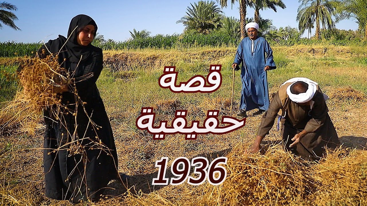 التحرش في الطرق / قصة حقيقية