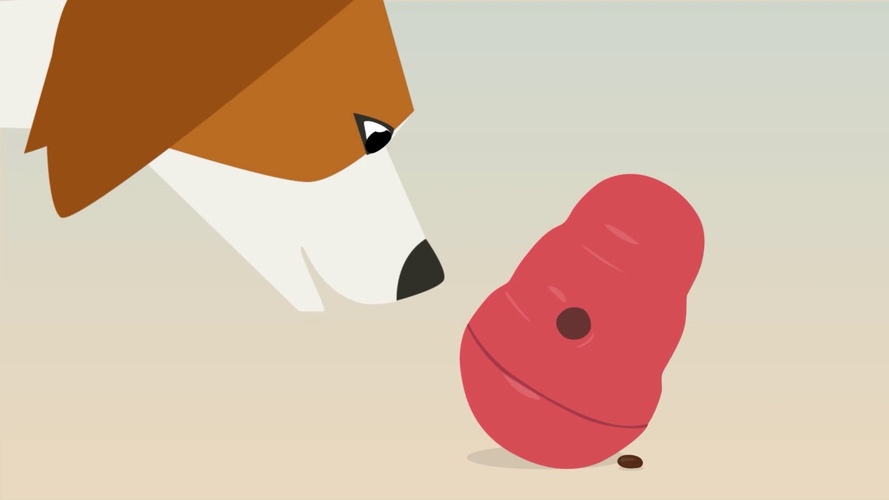 A Guide to Using Food Puzzle Toys with Your Dog - AVSAB