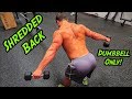 Intense Tabata Dumbbell Back Workout (HIIT)