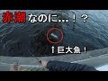 【芝浦南ふ頭公園】赤潮発生中に魚が入れ食い！？そして今年初釣りのあの魚が…！【20…