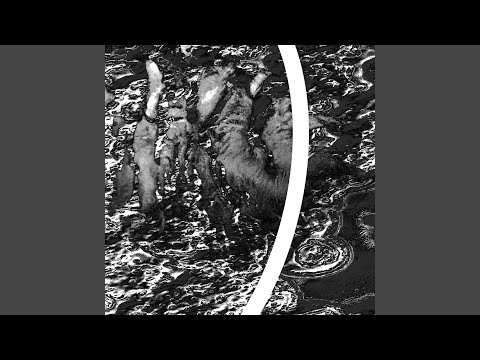 在 YouTube 上观看 Bust