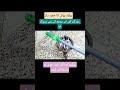 tute hue jhadu per bekar botal lagany ki tip#shortviraltip#manisaving #trending#shaziakdaliyvlog