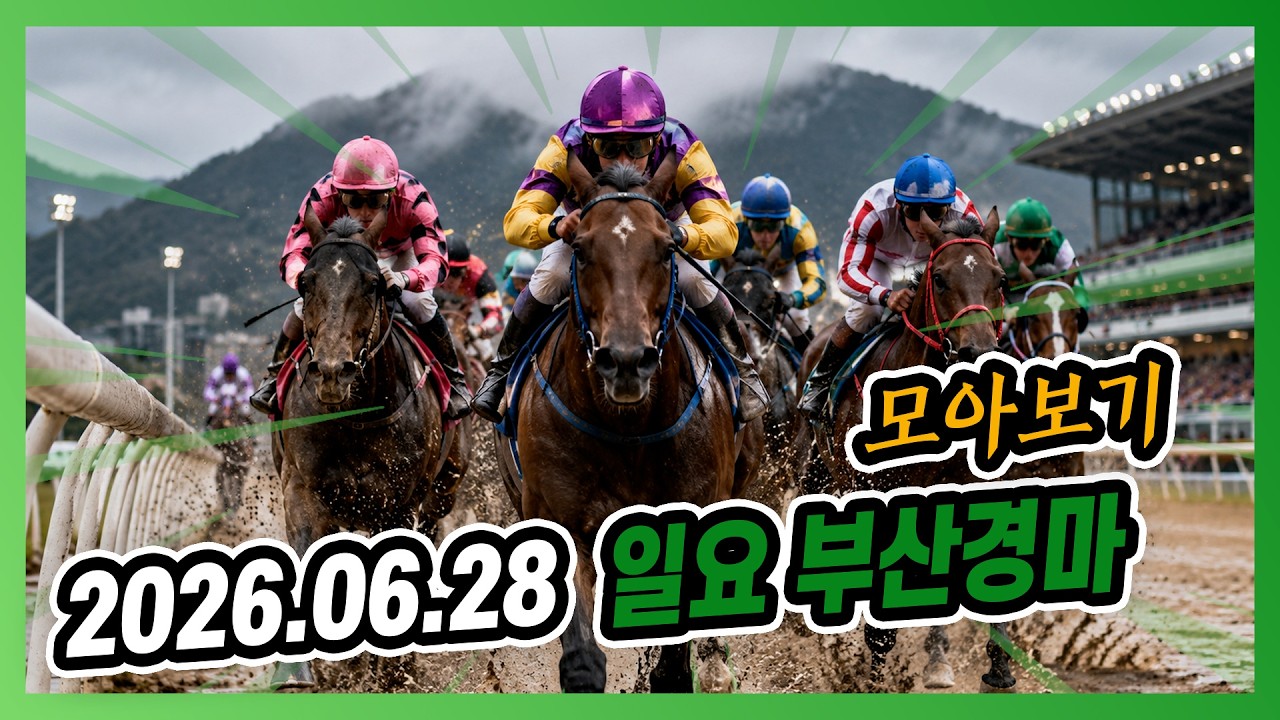 2026년 6월 28일 일요 부산경마 전체경주 모아보기