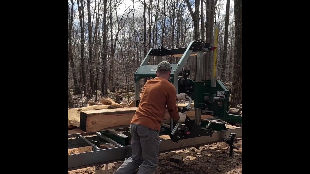 White Pine on the Sawmill - Log 1 