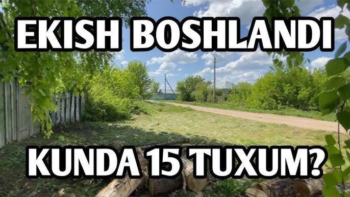 Mitinodagi fohishalar va fohishalar