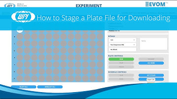 How to Stage a Plate File from the Experiment Window for Downloading on EVOM™ Auto GXP