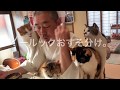 住職の朝ごはん フル
