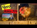 Не морочь нам яйца / Янукович обрёл своё место