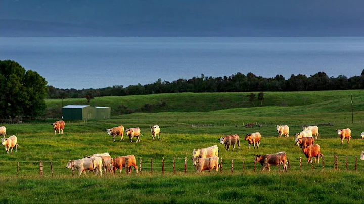 Who is the real Polluter; the Farmer or the Consum...