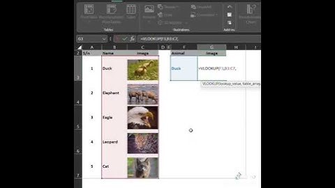 😲VLOOKUP pictures #msexcel #shorts #youexceltutorials