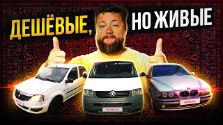 ДЕШЁВЫЕ, но ЖИВЫЕ автомобили с ОГРОМНЫМИ пробегами на Авто.ру!