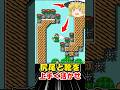 『尻尾と靴』の組み合わせを活かした地面がないアスレチック【マリオメーカー2】