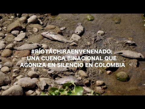 #RíoTáchiraEnvenenado: una cuenca binacional que agoniza en silencio en Colombia