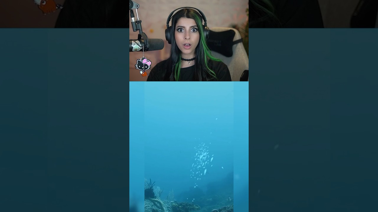 wait for it 🤯 #reaction #transition #shorts #fyp