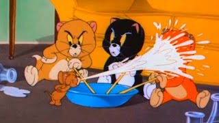 Cartoon fragment tom and jerry - triplet trouble is a 1952 one-reel
animated the 67th short directed by william hanna joseph...