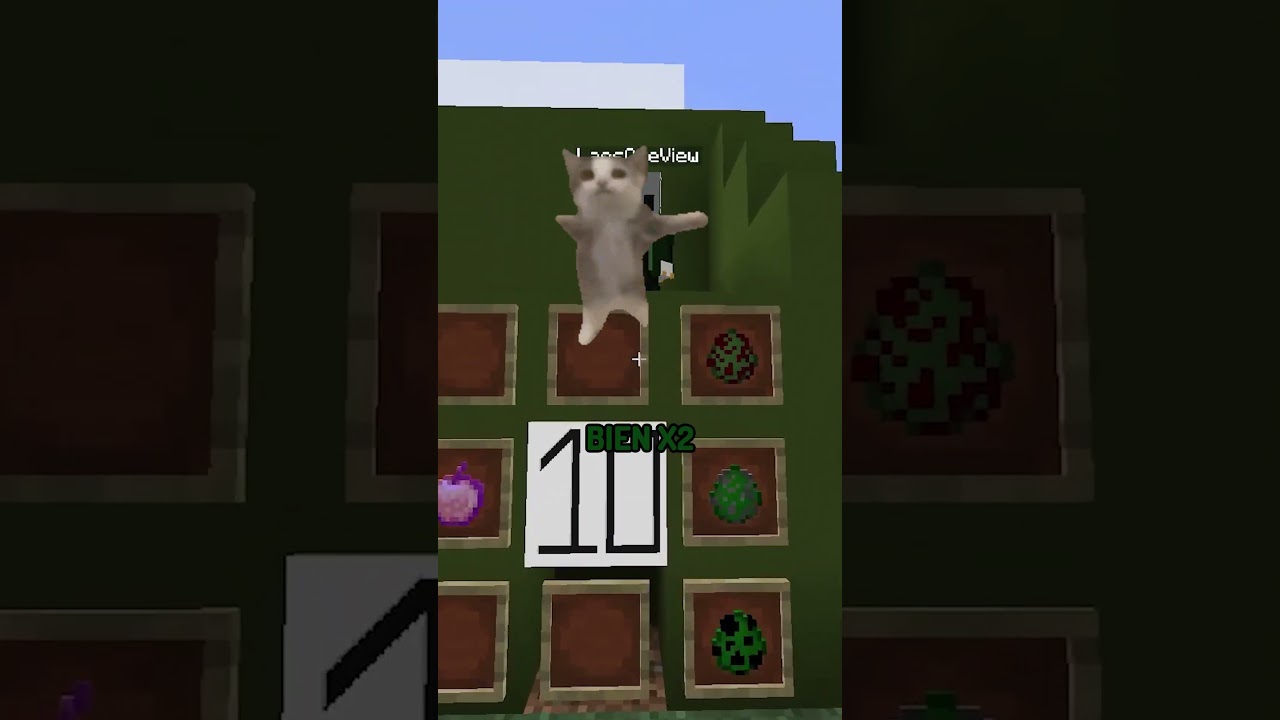 elección a ciegas #minecraft #shorts