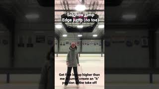 Ice Skating Salchow Jump (Freeskate 2) screenshot 1