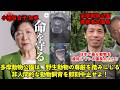 チェリア（チェリアとジュリアが一緒になる前の動画です）　多摩動物公園　オランウータン　202604