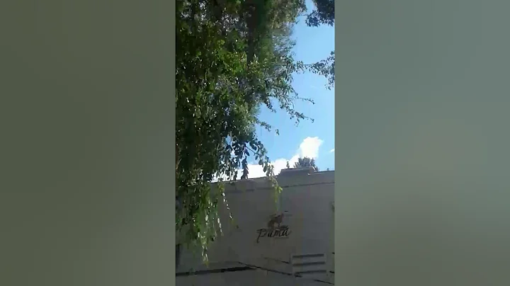 August 13, 2017