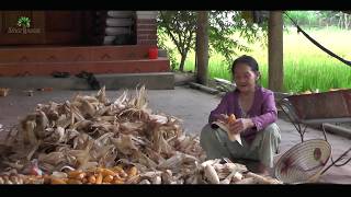 Video Baseline Survey phase 2 in Viet Nam: Smart Tree-Invest project