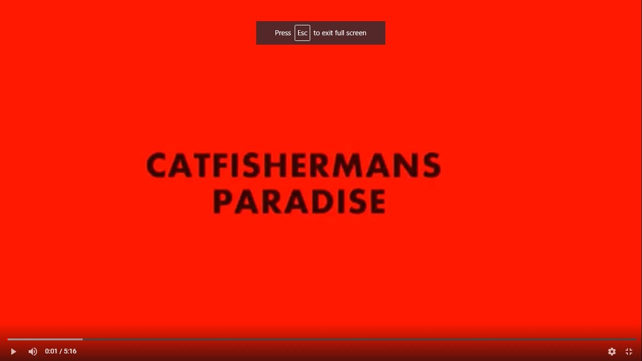 Catfishermans Paradise YouTube