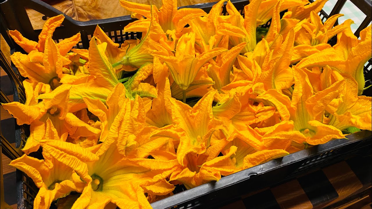 Pesto di fiori di zucca .ottimo con la pasta, sui crostini,sulle patate
